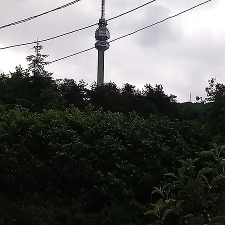 Cosy On Avala Mountain 贝尔格莱德